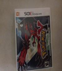 Pokemon Y English