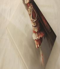Assassin's Creed 2 Collector's Edition The Complete Guide