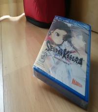 Senran Kagura Shinovi Versus