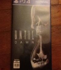 Until Dawn