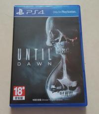 Until Dawn