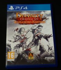 Divinity Original Sin Enhanced Edition