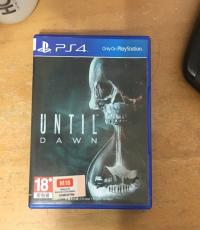 Until Dawn