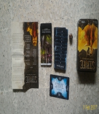 STRIFE (Limited Edition - Collector's Edition)
