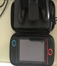 Fully furnished Switch with Disgaea 4