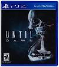 Until Dawn