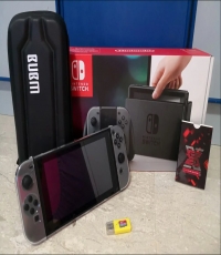 Nintendo Switch w/ SX Pro Bundle