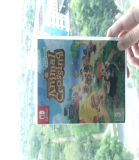 Animal Crossing: New Horizons