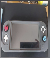 Nintendo Switch console lite