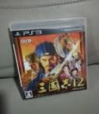 Romance of Three Kingdom 12