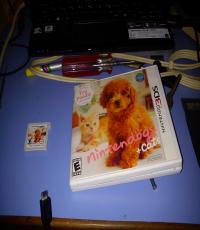 Nintendogs and Cats