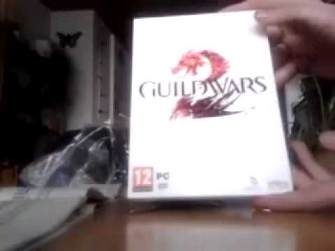 Guild Wars 2 (Account)