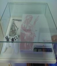 PS3 Console FFXIII Lightning Edition