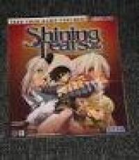Shining Tears PS2 SEGA Guide Book