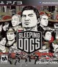 Sleeping Dogs