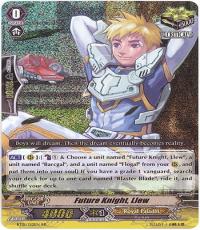 Mix Cardfight Vanguard cards